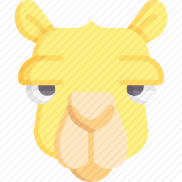 骆驼
