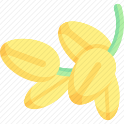 <em>摩洛哥</em>坚果
