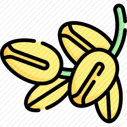 <em>摩洛哥</em>坚果