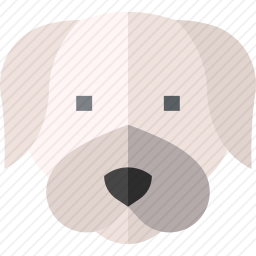 狗