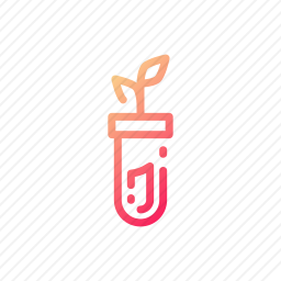 植物实验