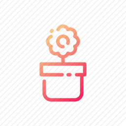 花盆
