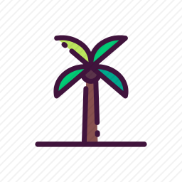 棕榈树