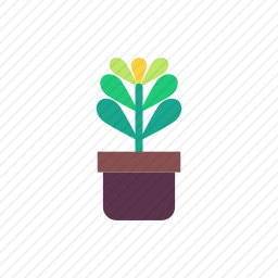 <em>盆栽植物</em>