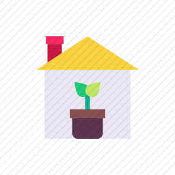 室内植物
