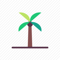 棕榈树
