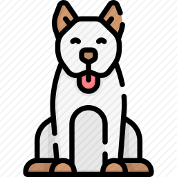 狗