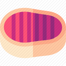 <em>牛排</em>