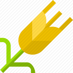 <em>小麦</em>