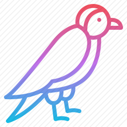 鸟