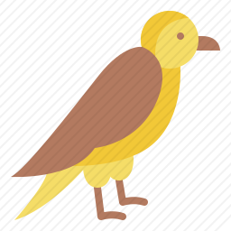 鸟