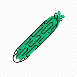 <em>黄瓜</em>