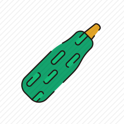 <em>黄瓜</em>