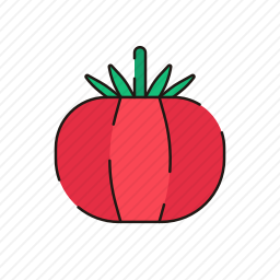<em>番茄</em>
