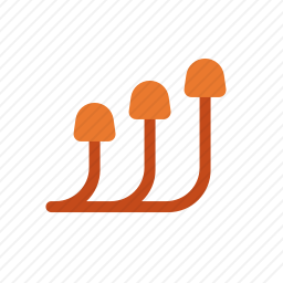 <em>蘑菇</em>