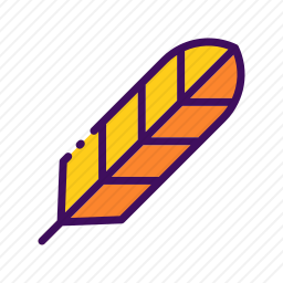 羽毛