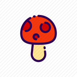 蘑菇