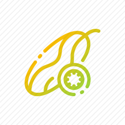 <em>黄瓜</em>