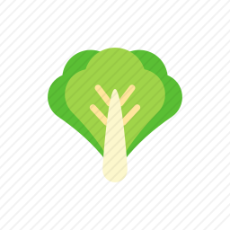 <em>生菜</em>