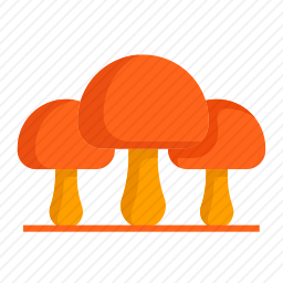 <em>蘑菇</em>