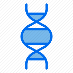 DNA