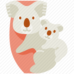 考拉