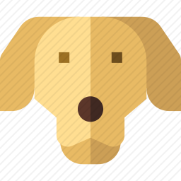金毛猎犬