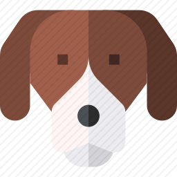 比格犬