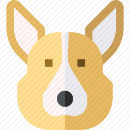 科基犬