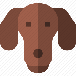 腊肠犬