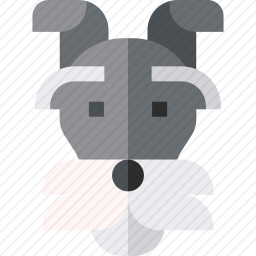 雪纳瑞