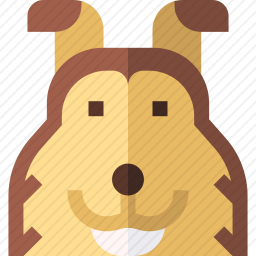 喜乐蒂牧羊犬