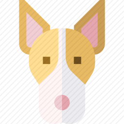 安达卢西亚猎犬