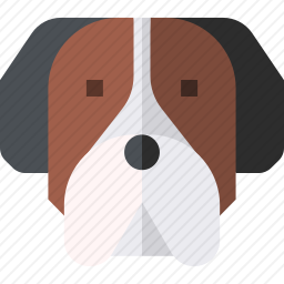 圣伯纳犬