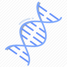 DNA