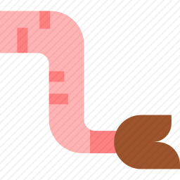 肉