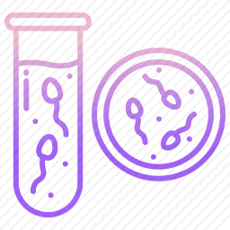 <em>精子</em>