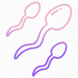 <em>精子</em>