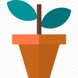 植物