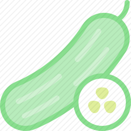 <em>黄瓜</em>