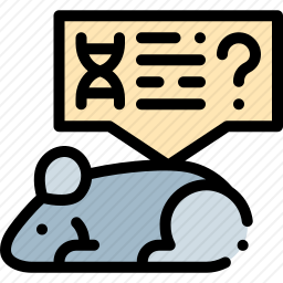 <em>鼠标</em>