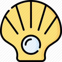 <em>贝壳</em>