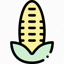 <em>玉米</em>