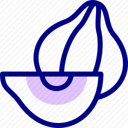 <em>洋葱</em>