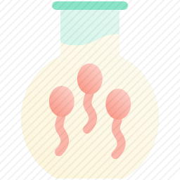 <em>精子</em>