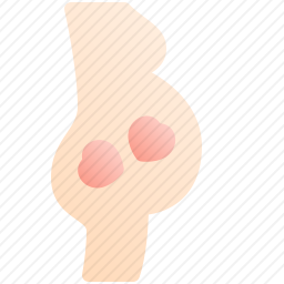 <em>怀孕</em>