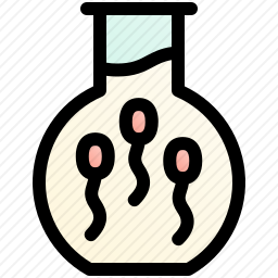 <em>精子</em>