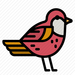 鸟