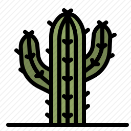 <em>仙人掌</em>