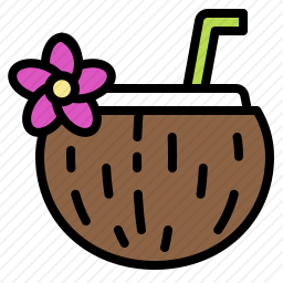 <em>椰子</em>